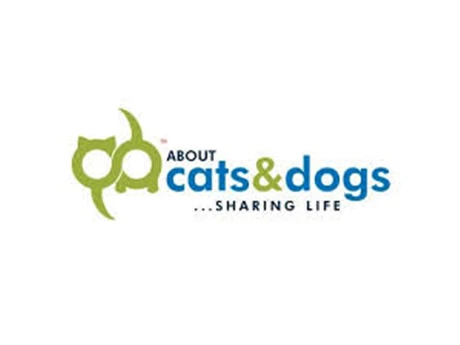 About Cats and Dogs